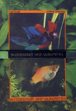 Волшебный мир аквариума